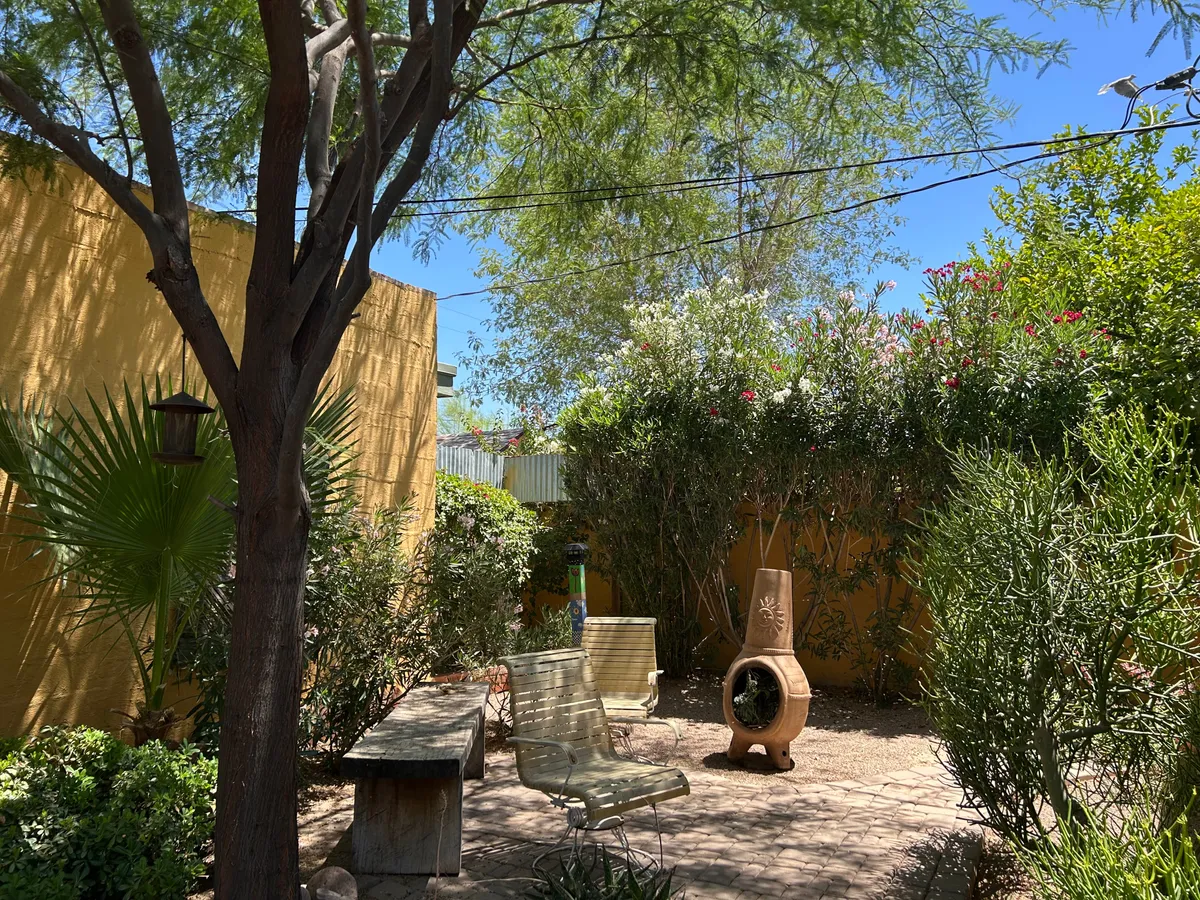 An inviting outdoor area featuring a large shade-giving tree, a wooden bench, metal chairs, a decorative chiminea, and lush green foliage. The scene suggests a relaxing spot for socializing, enjoying nature, or unwinding after an evening out.